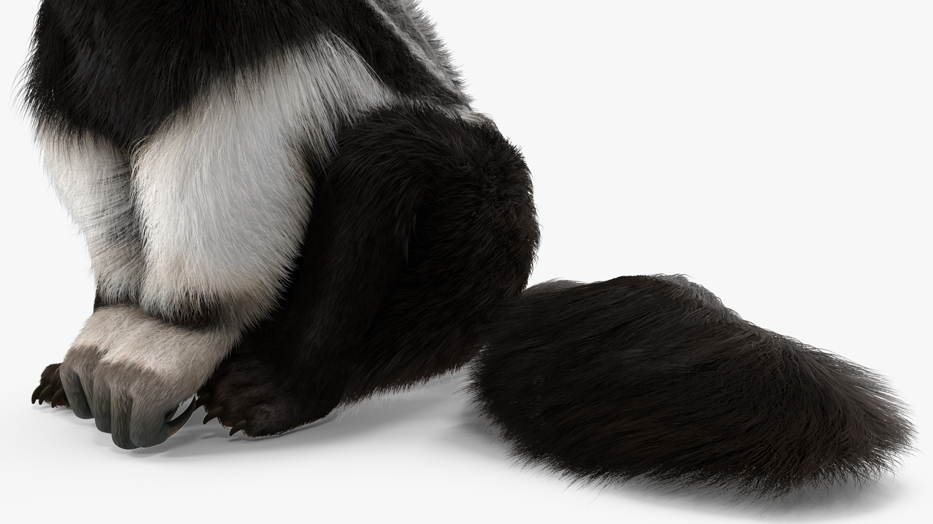 3D model Anteater Sitting Pose Fur