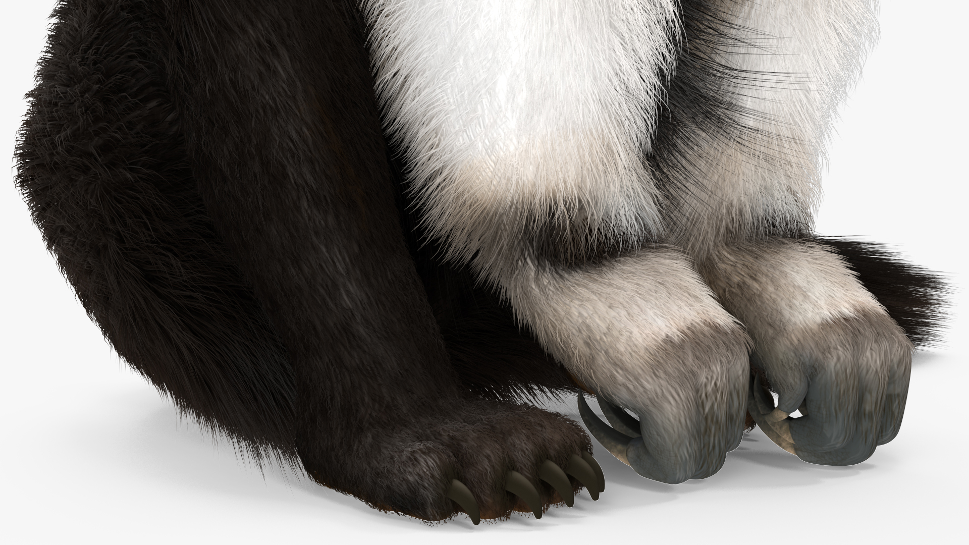 3D model Anteater Sitting Pose Fur