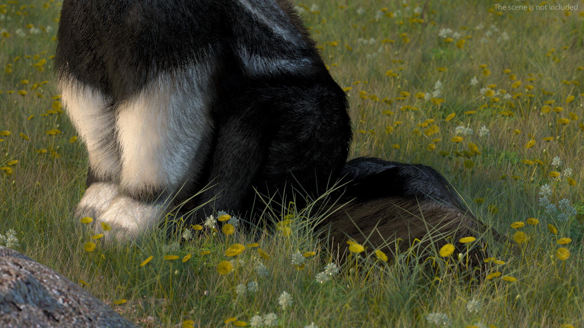 3D model Anteater Sitting Pose Fur