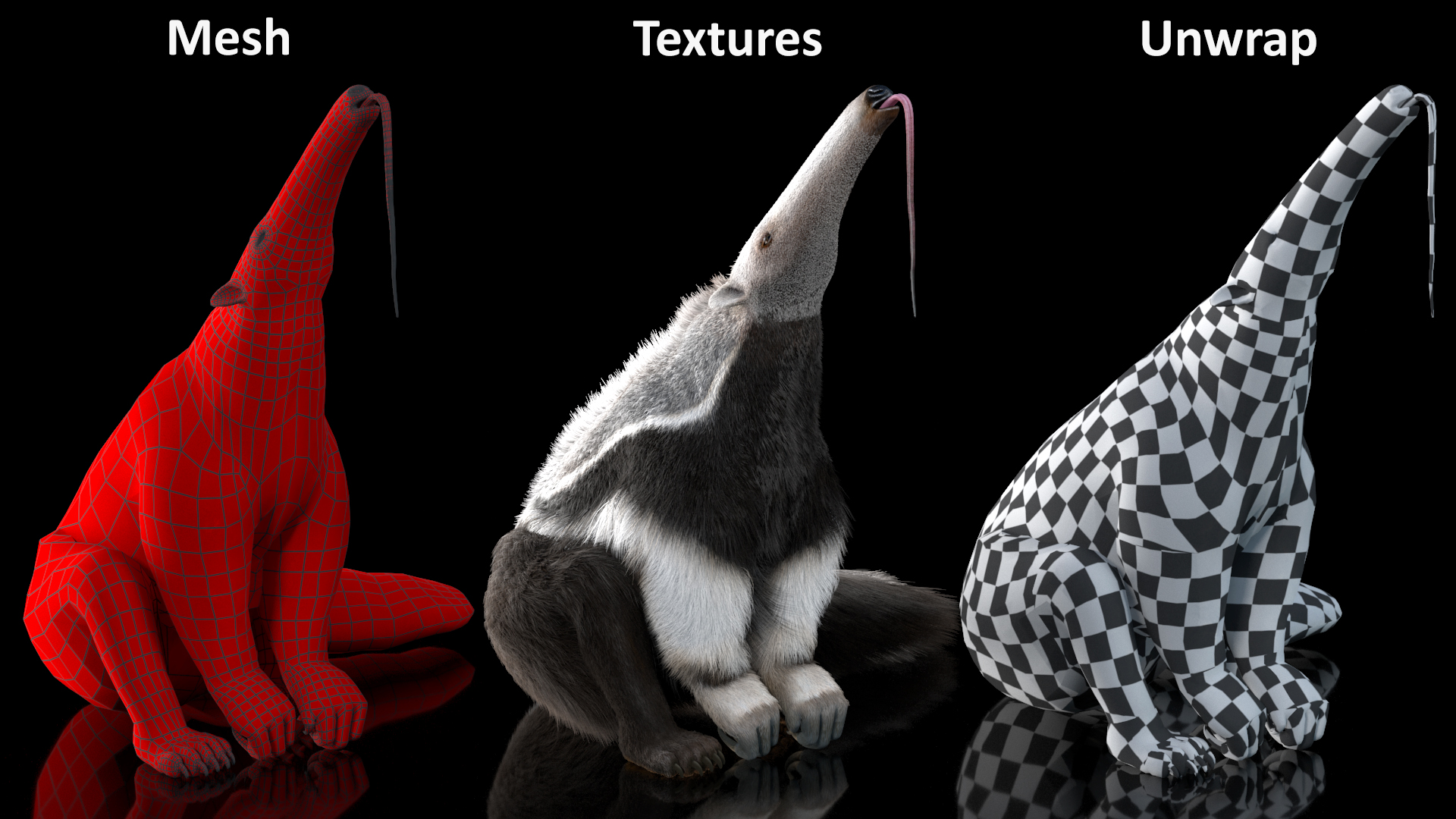 3D model Anteater Sitting Pose Fur