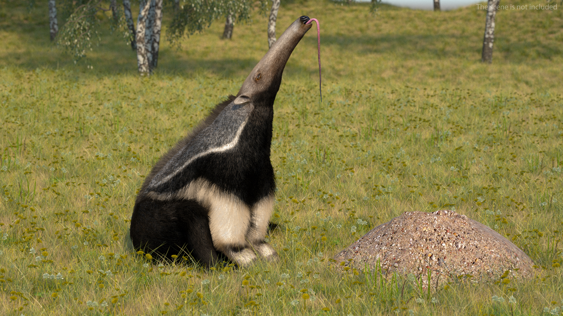 3D model Anteater Sitting Pose Fur