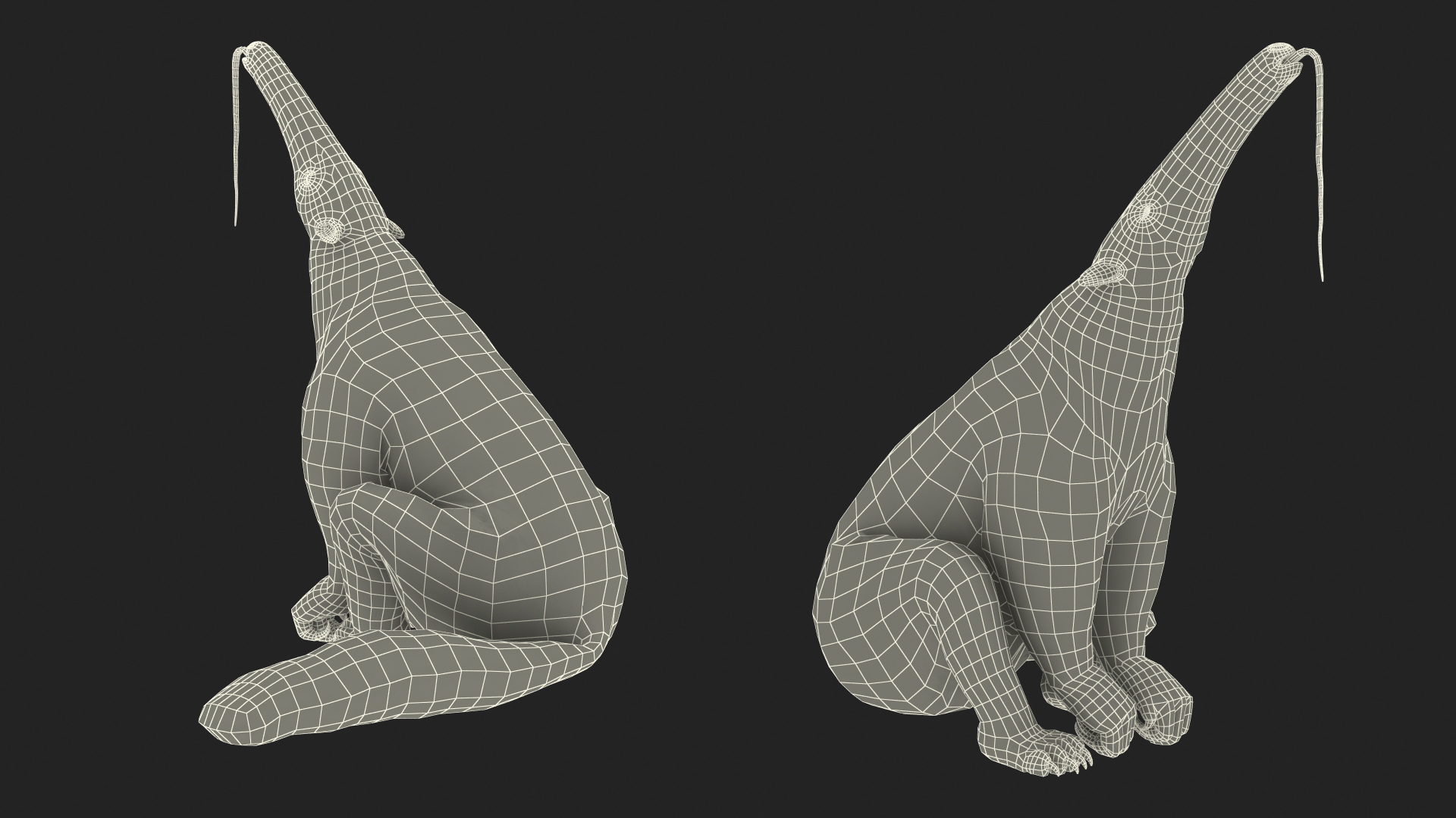 3D model Anteater Sitting Pose Fur