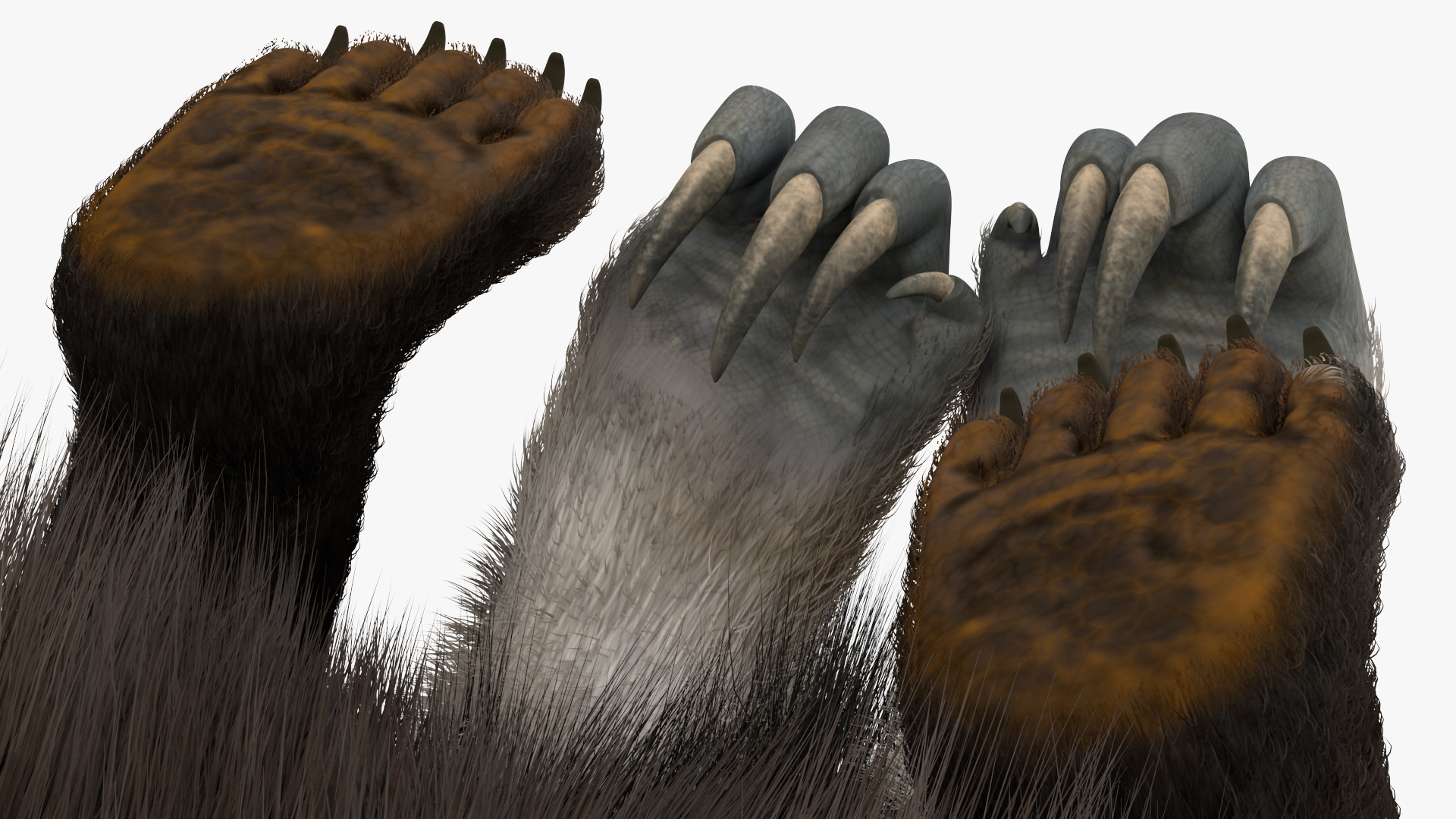 3D model Anteater Sitting Pose Fur