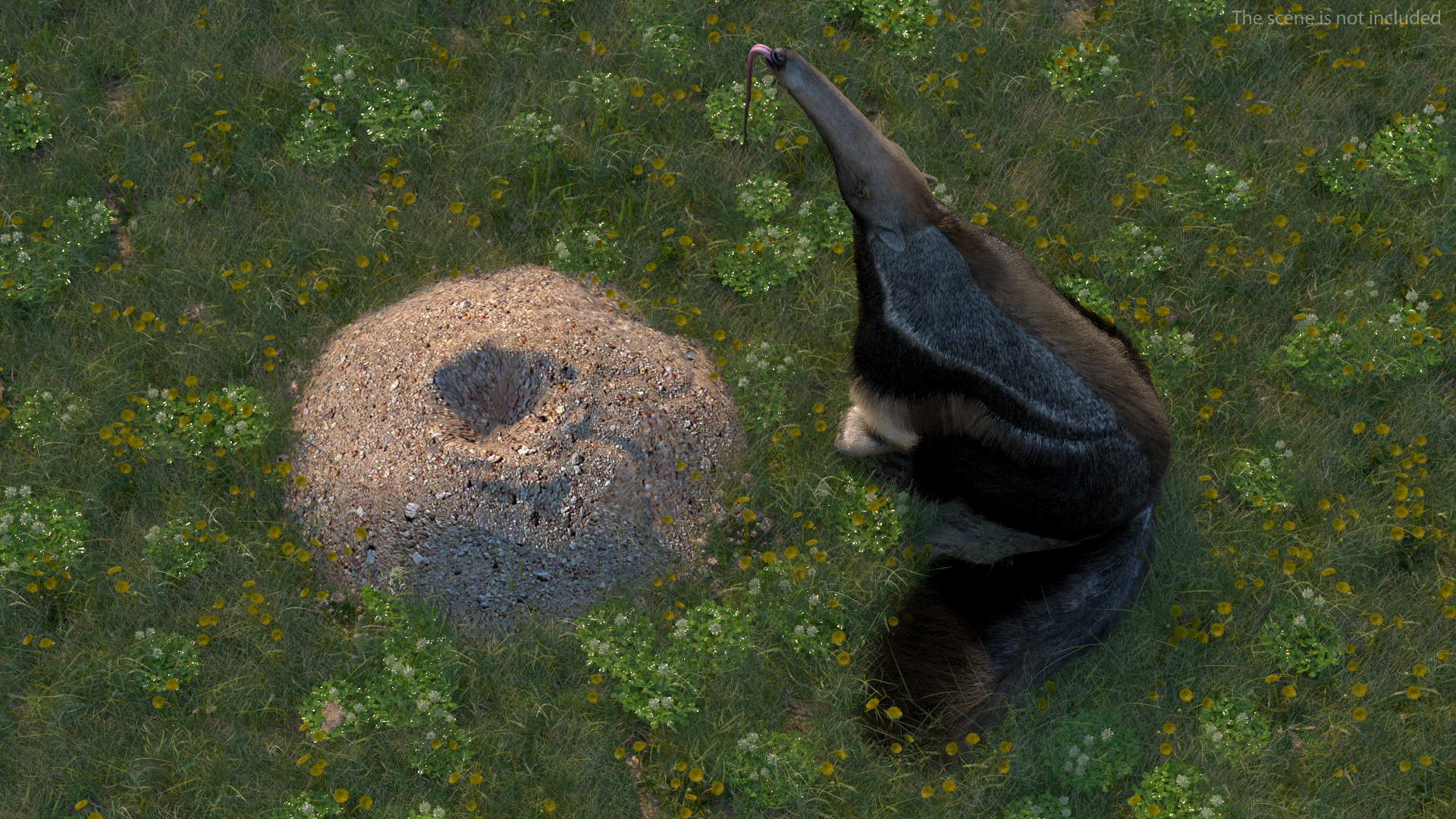 3D model Anteater Sitting Pose Fur