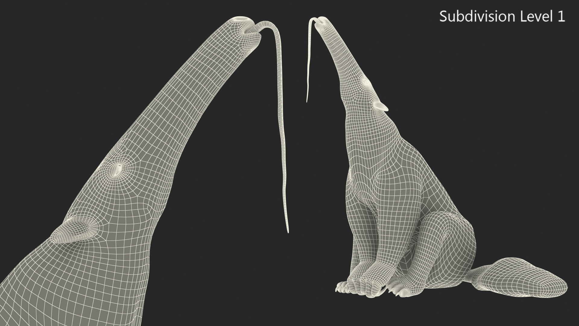 3D model Anteater Sitting Pose Fur