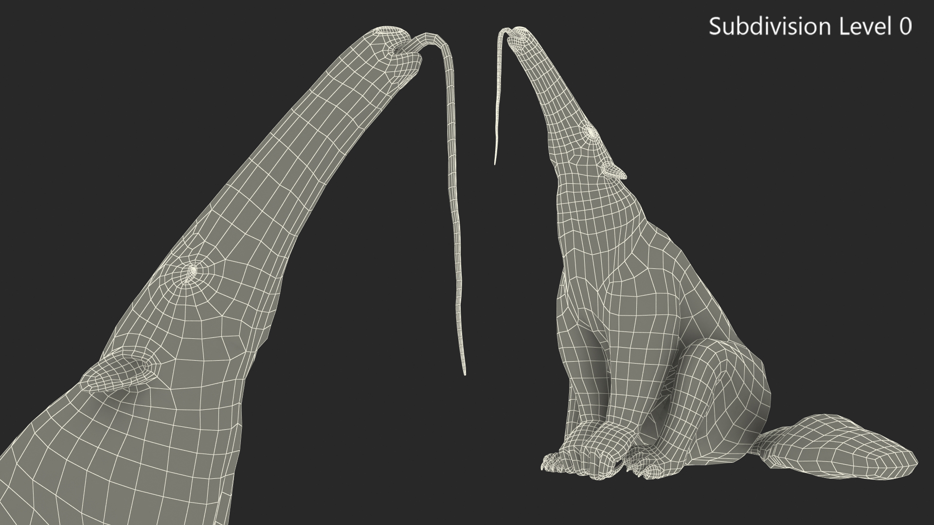 3D model Anteater Sitting Pose Fur