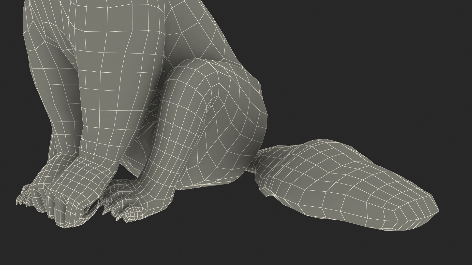 3D model Anteater Sitting Pose Fur