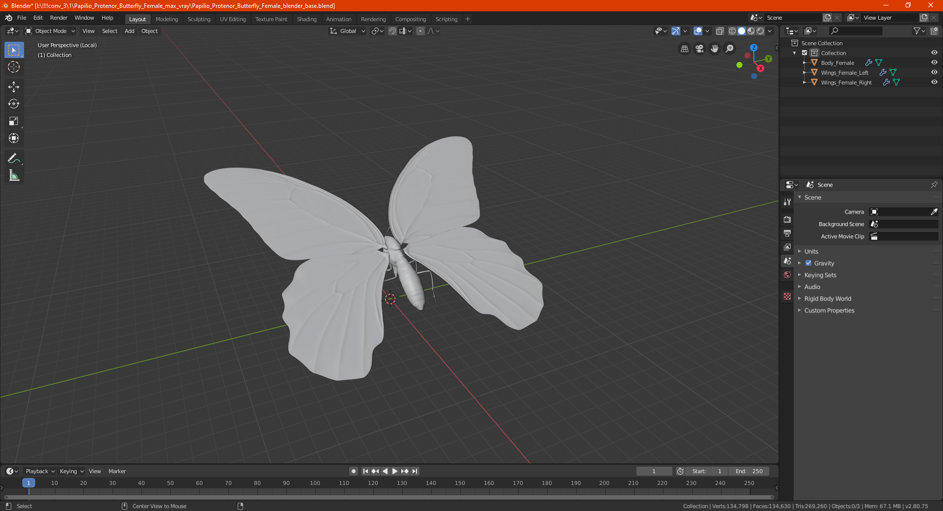 3D Papilio Protenor Butterfly Female model