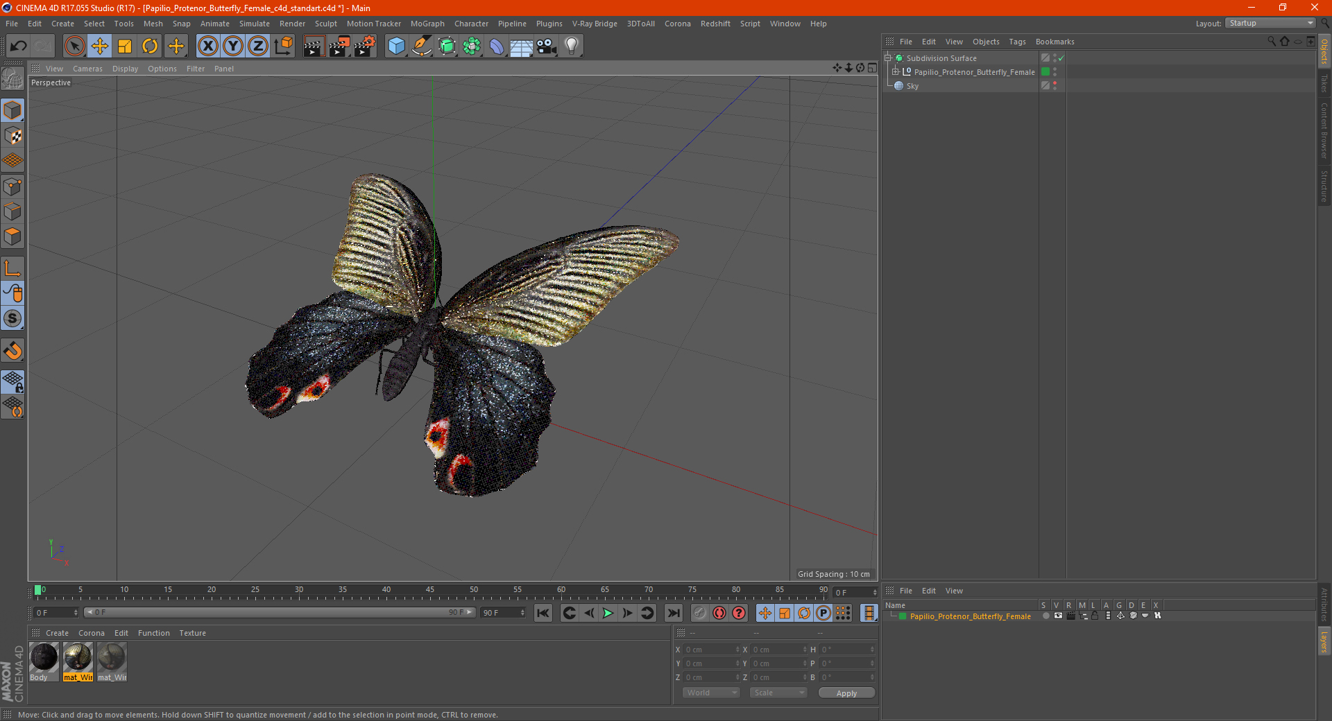 3D Papilio Protenor Butterfly Female model