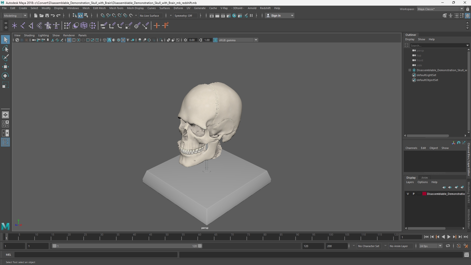 Disassemblable Demonstration Skull with Brain - view 11