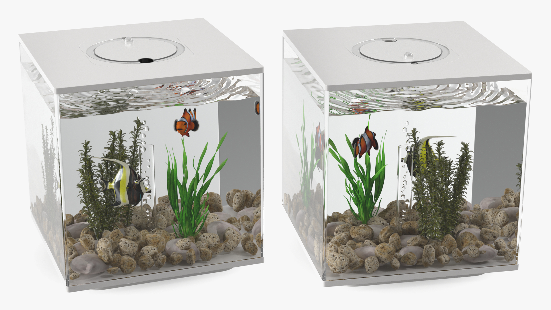 3D model Fish Tank White Cube