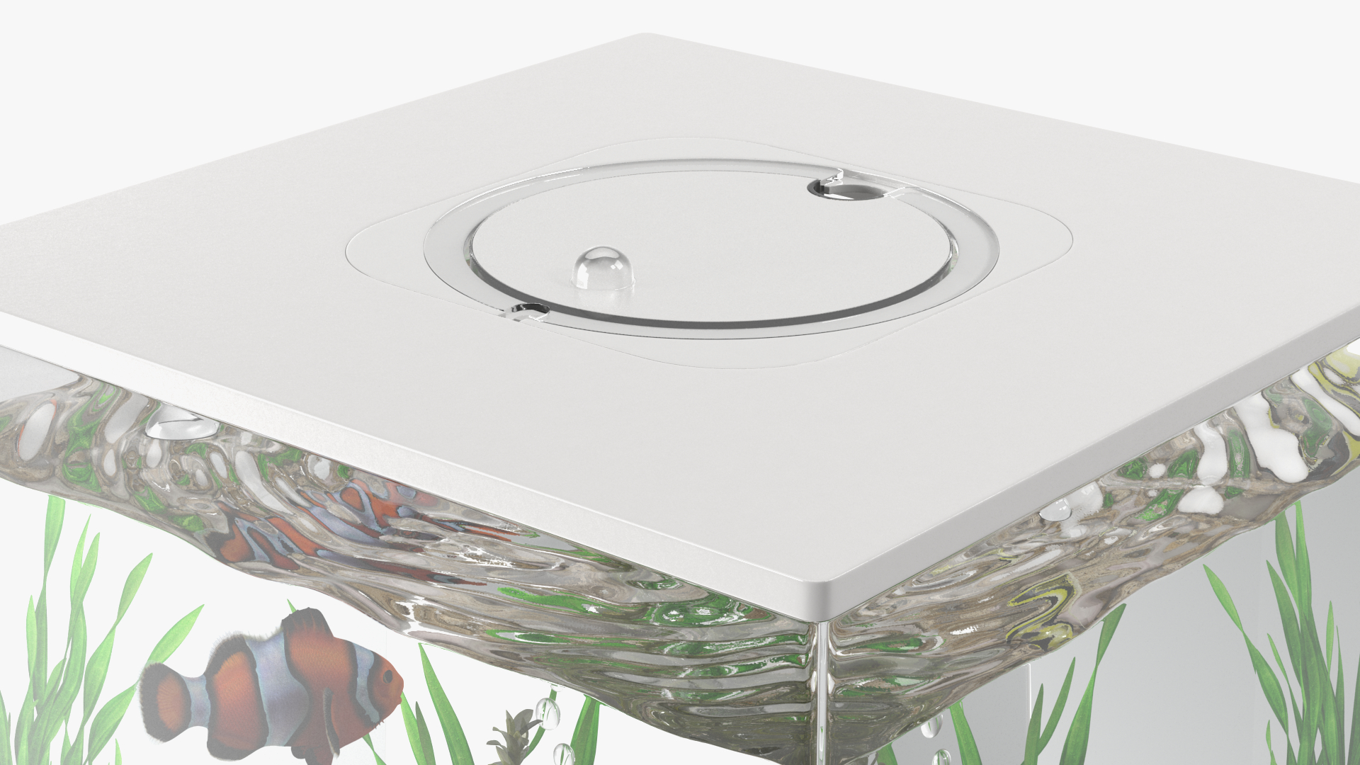 3D model Fish Tank White Cube