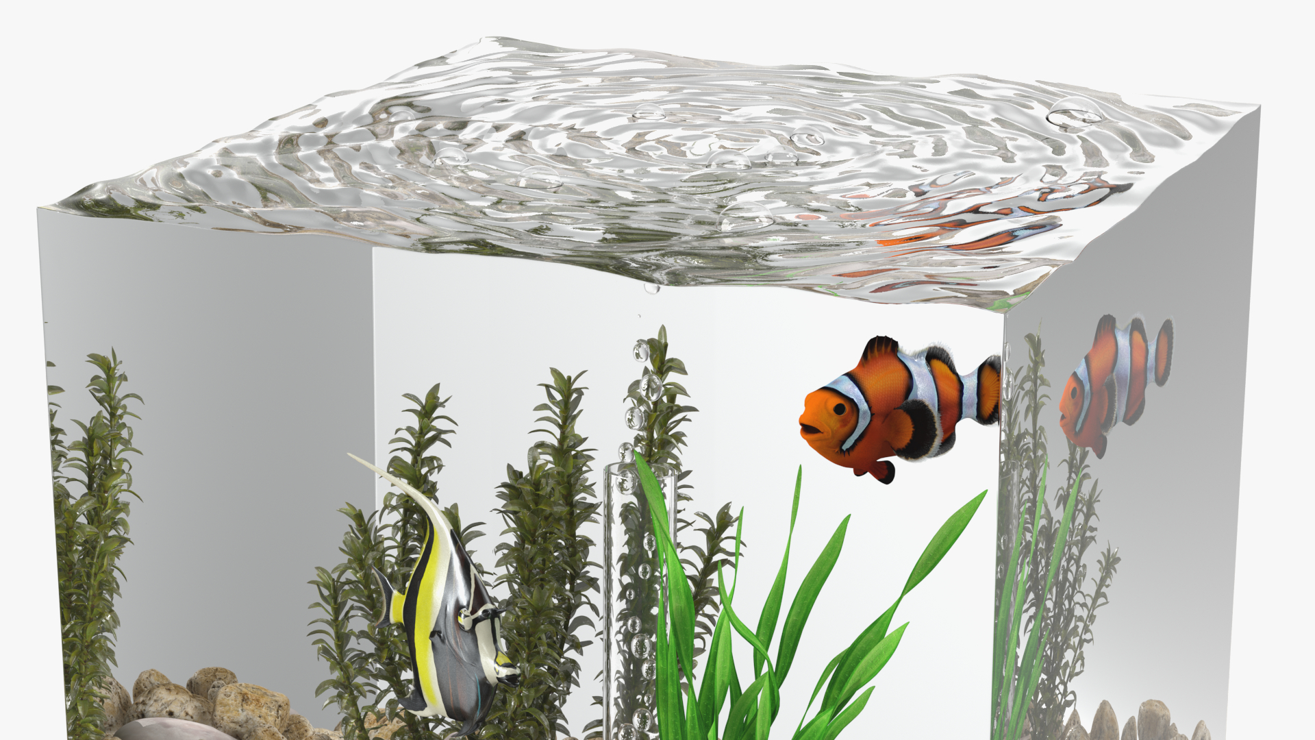 3D model Fish Tank White Cube