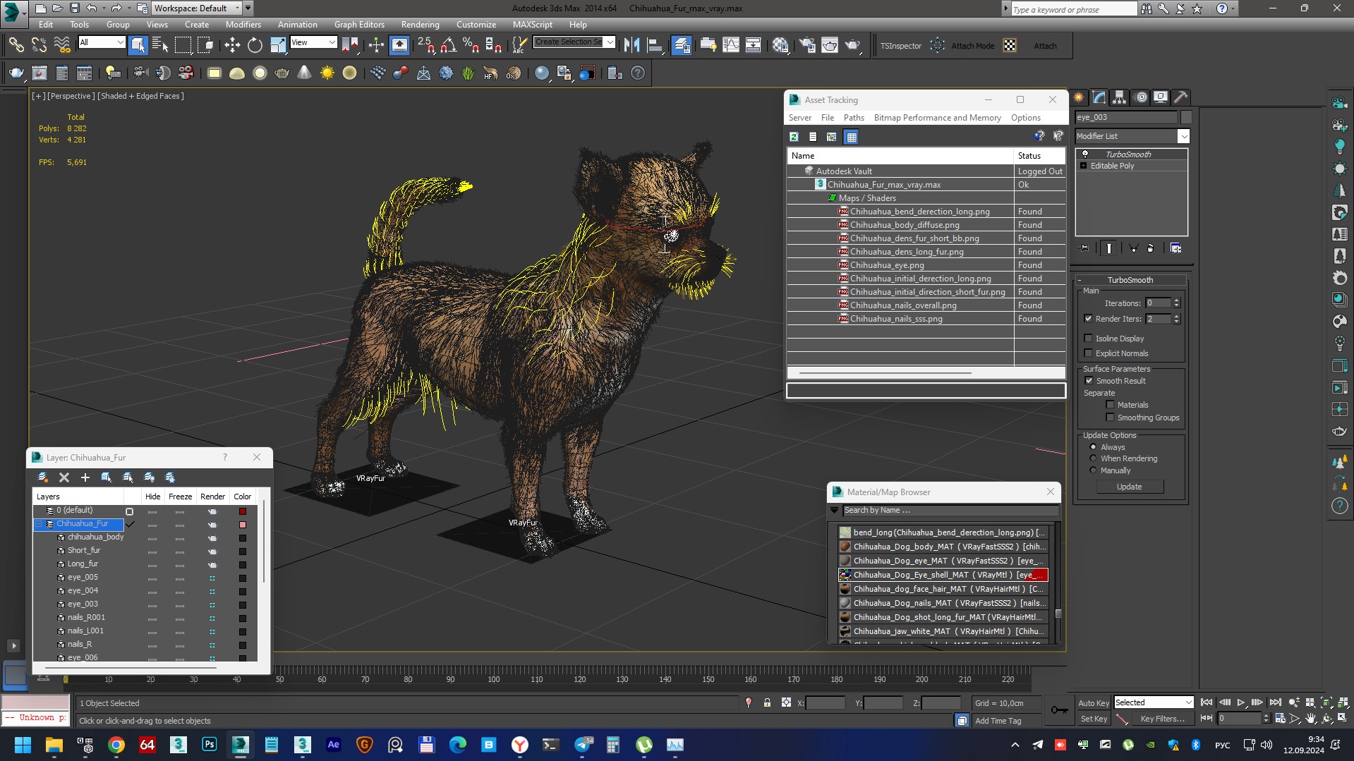3D Chihuahua Fur model