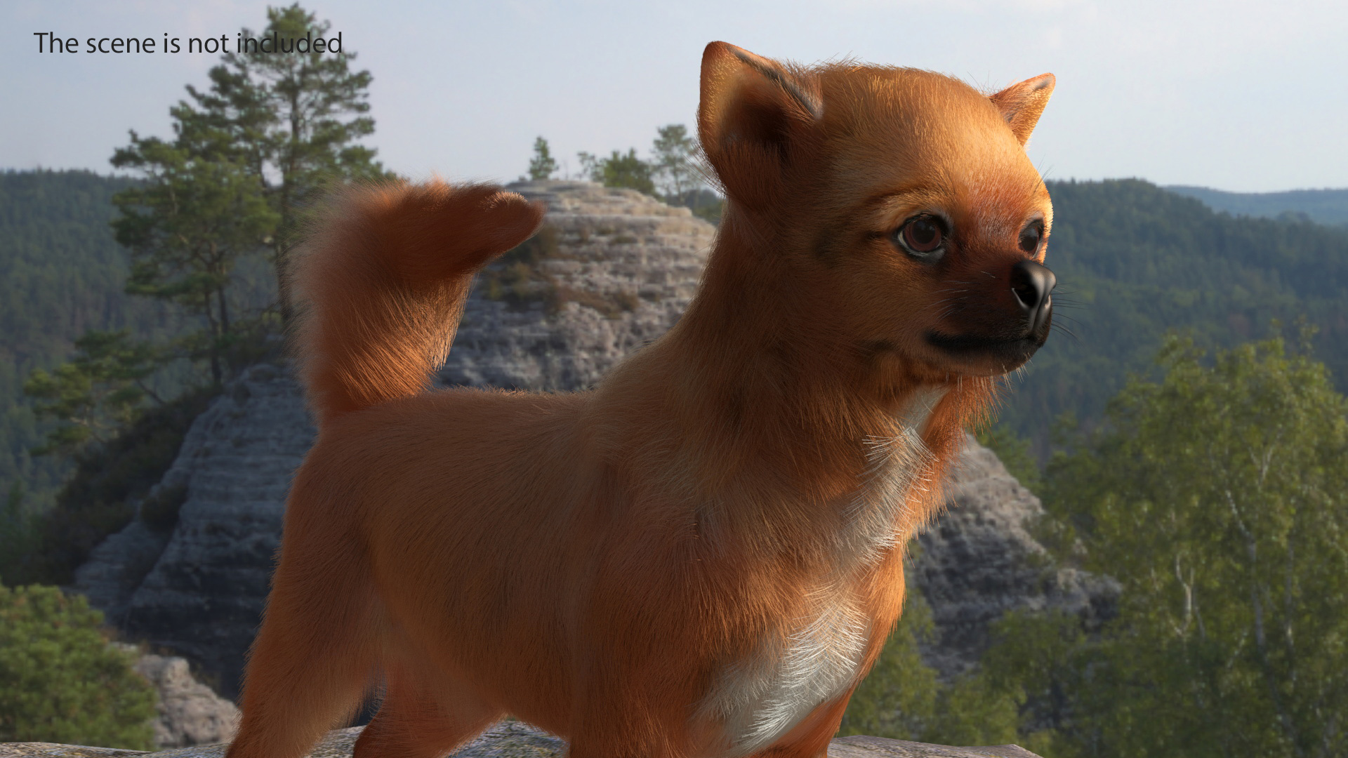 3D Chihuahua Fur model