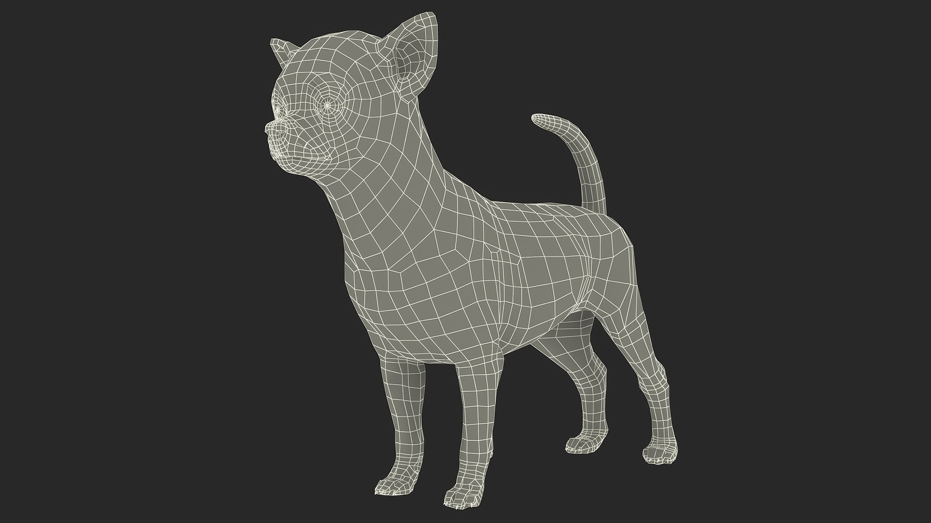 3D Chihuahua Fur model