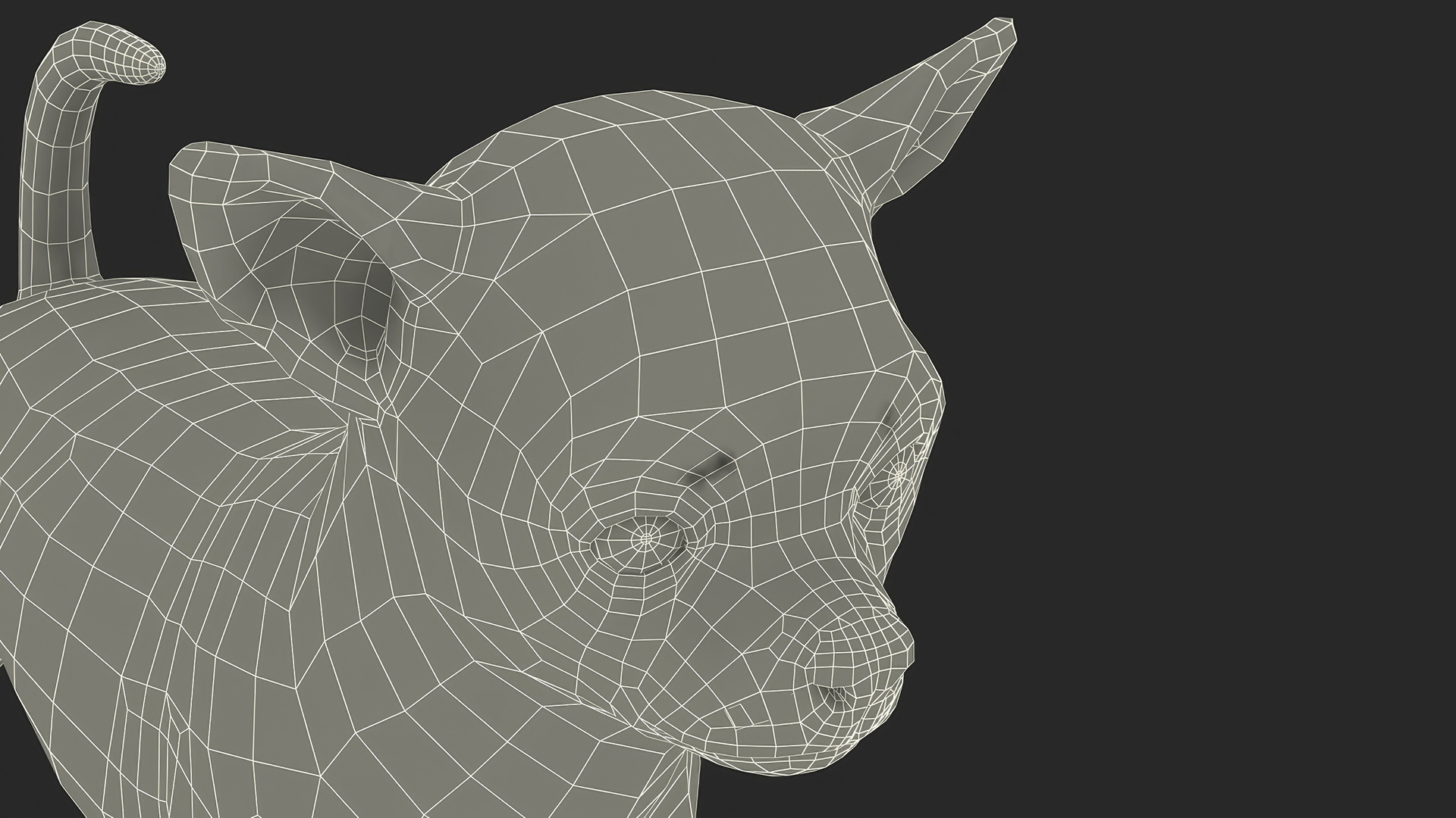 3D Chihuahua Fur model