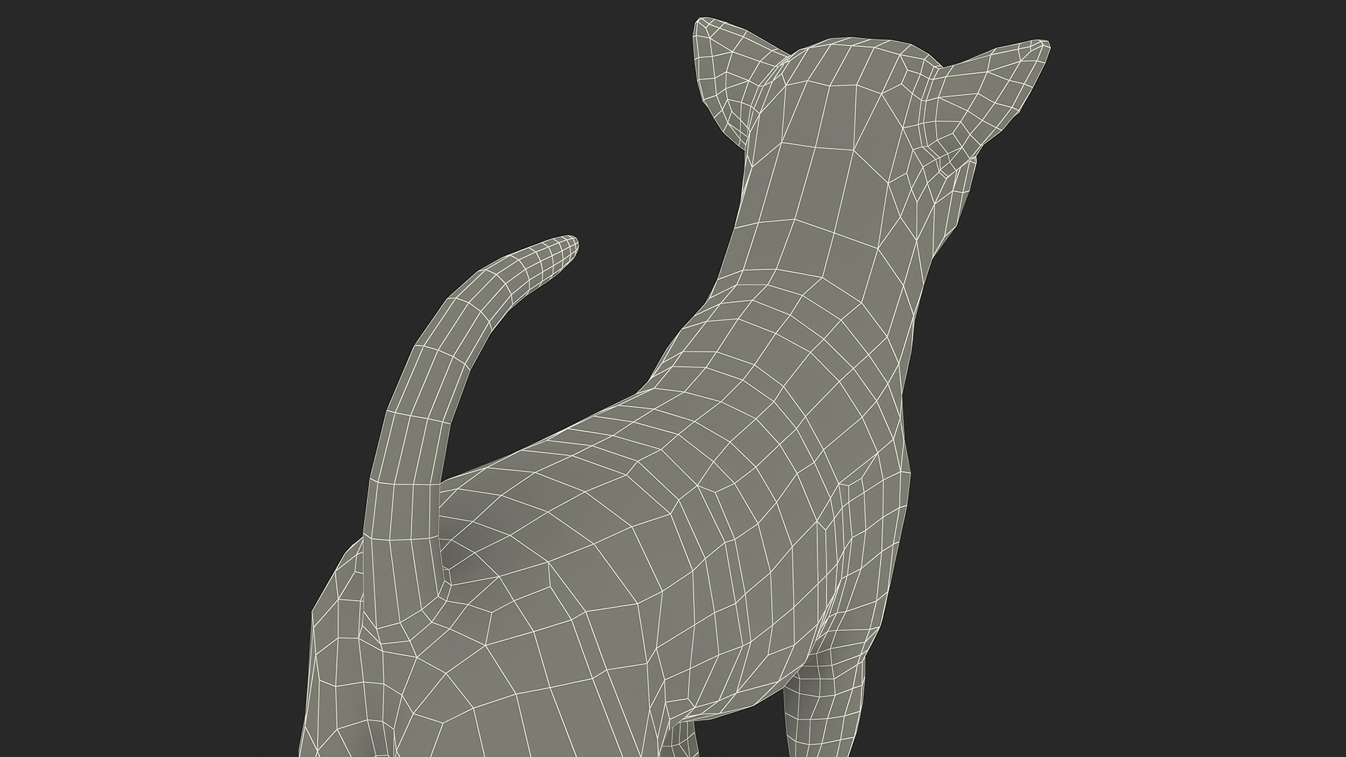 3D Chihuahua Fur model