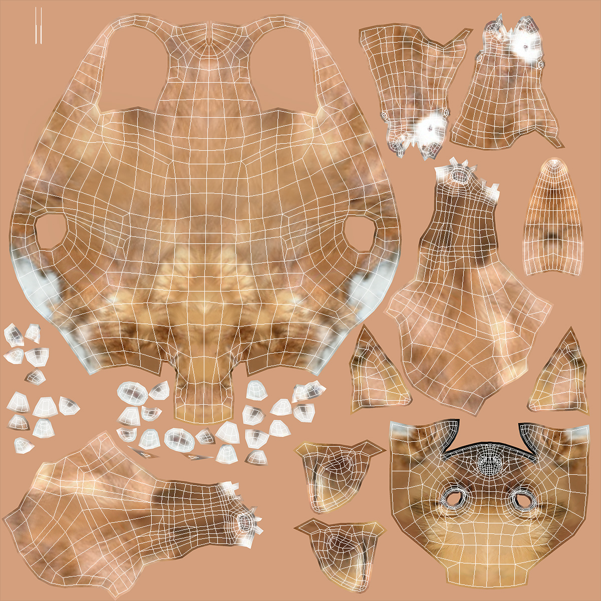 3D Chihuahua Fur model