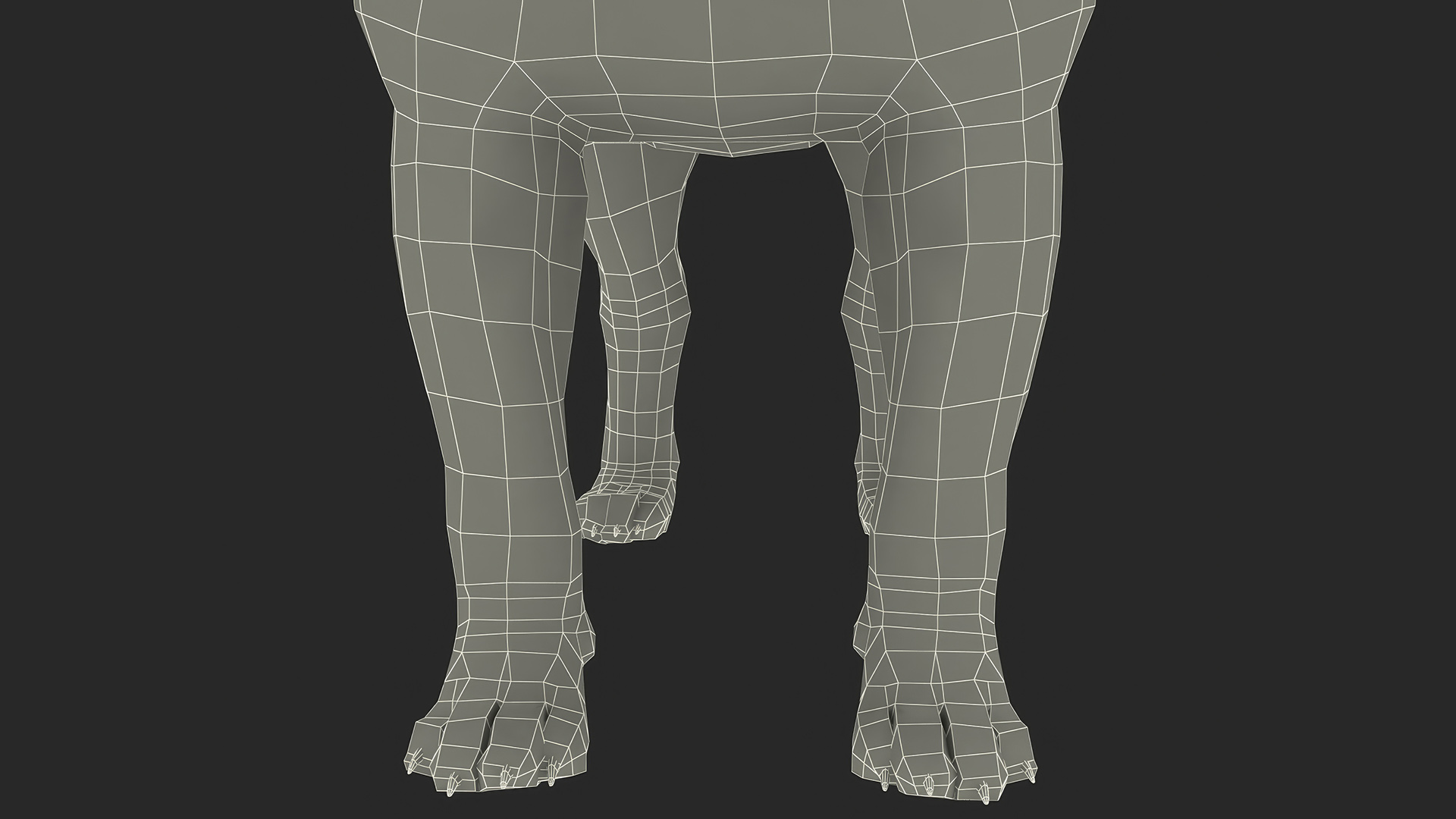 3D Chihuahua Fur model