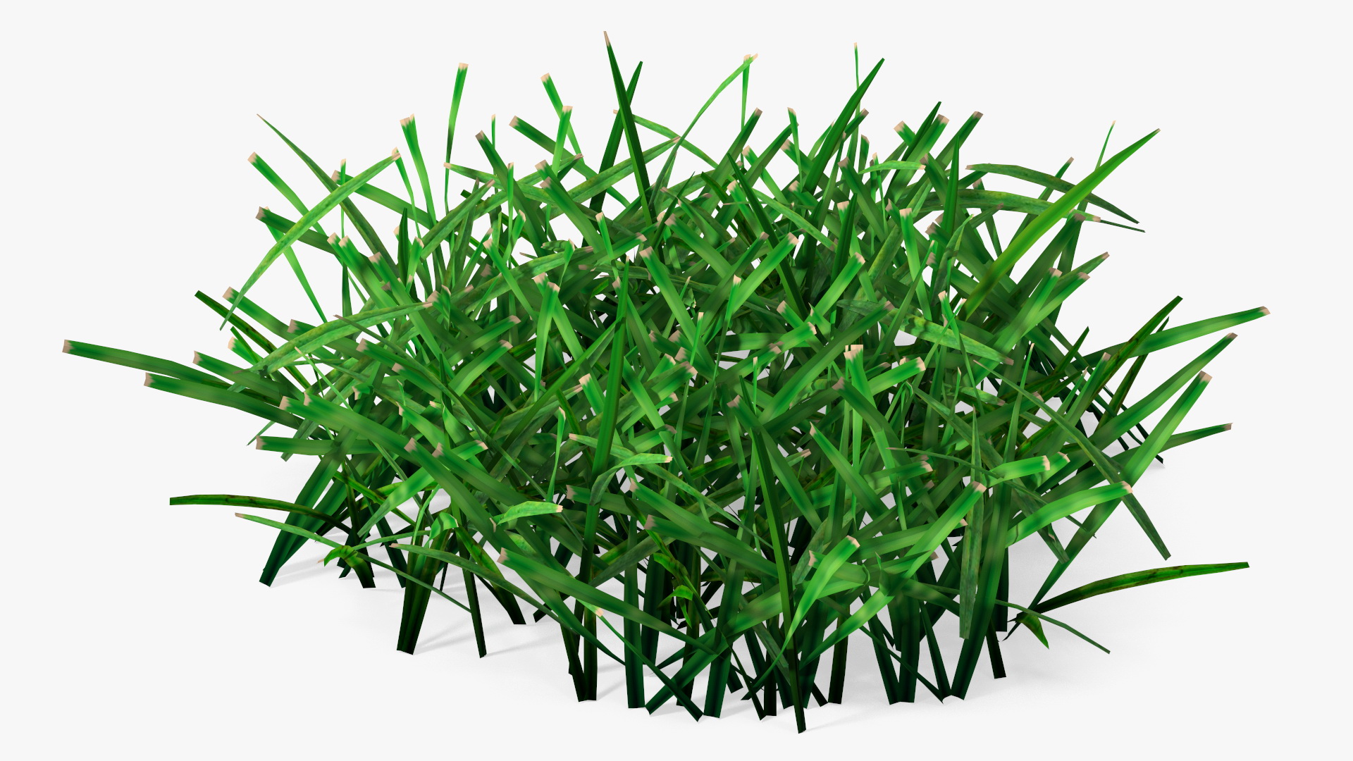 3D Realistic Lawn Grass Patch