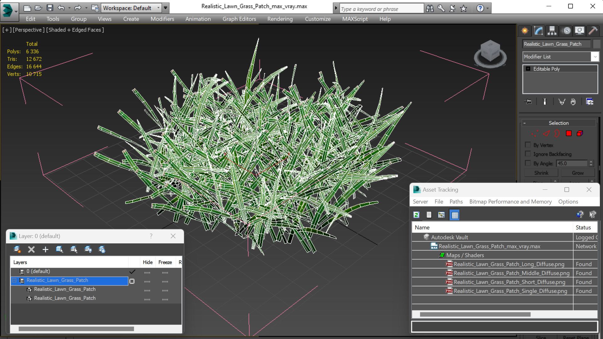 3D Realistic Lawn Grass Patch