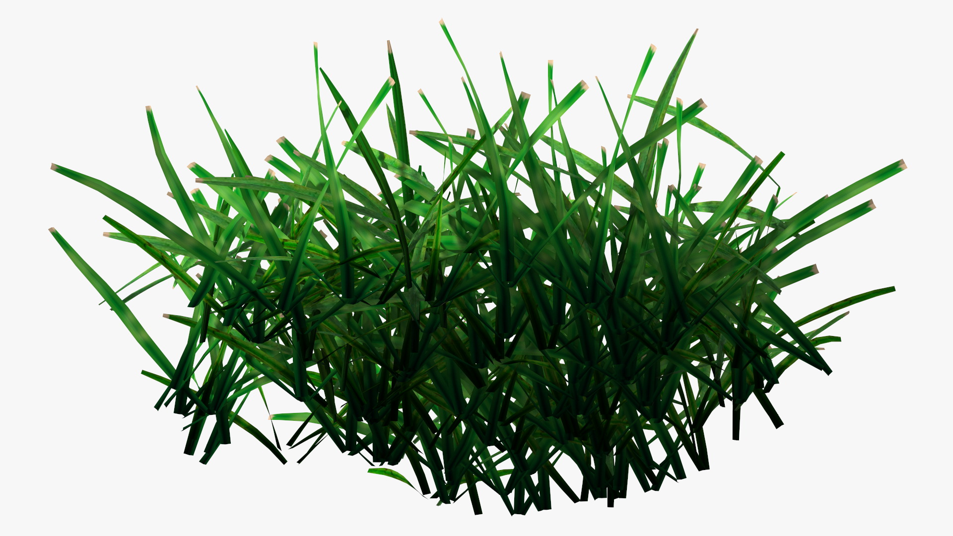 3D Realistic Lawn Grass Patch