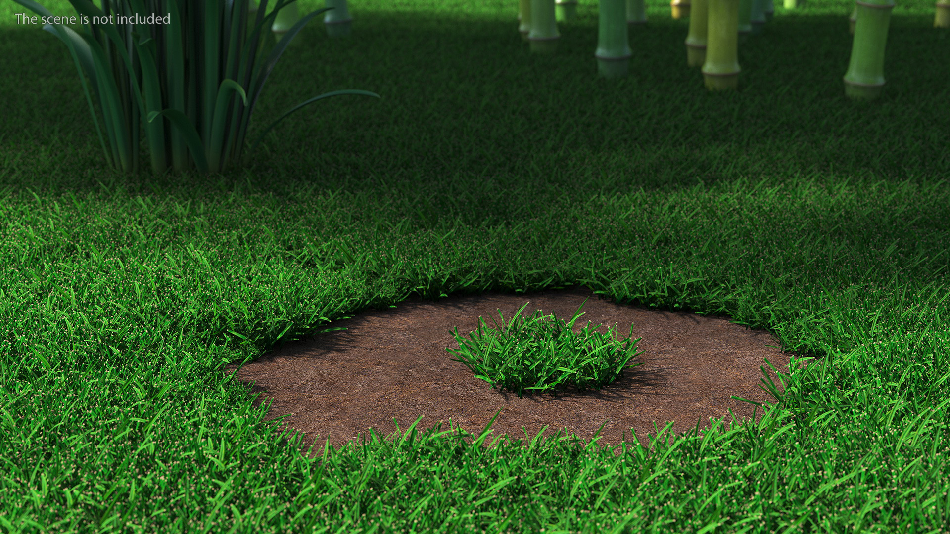 3D Realistic Lawn Grass Patch