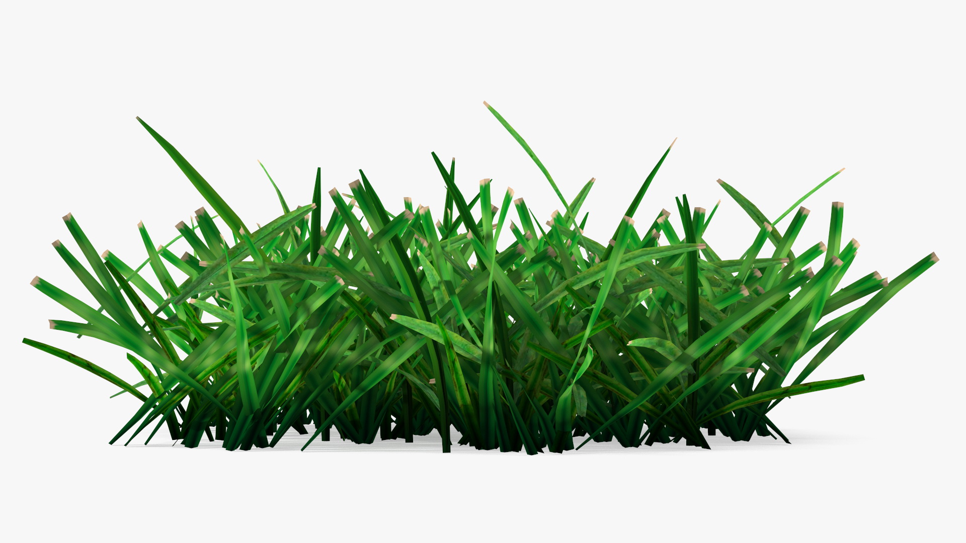 3D Realistic Lawn Grass Patch