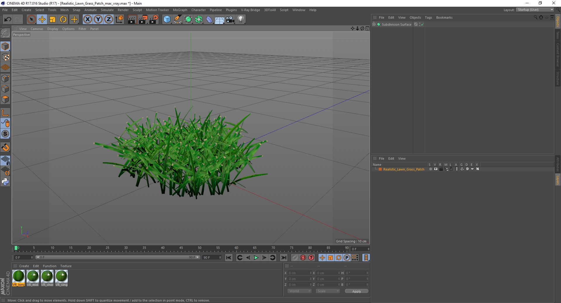 3D Realistic Lawn Grass Patch