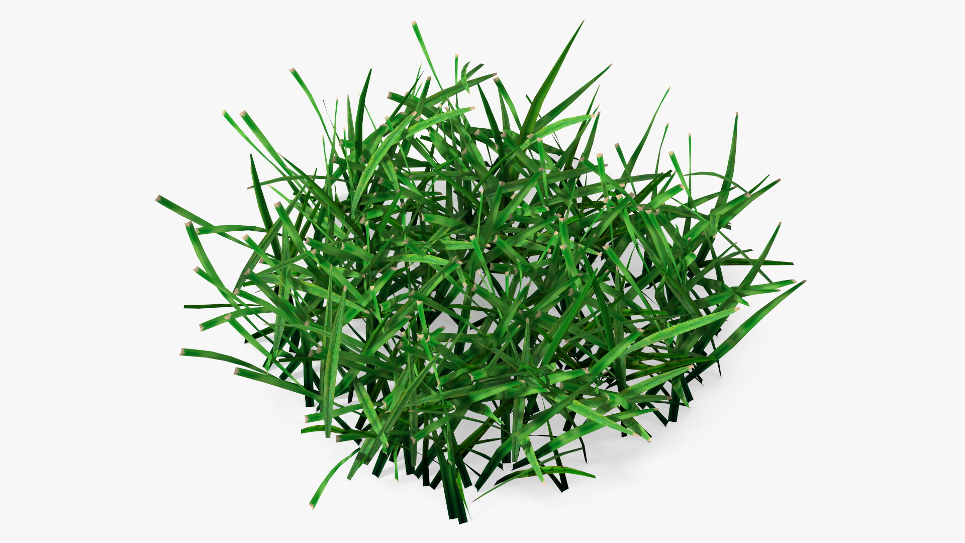3D Realistic Lawn Grass Patch