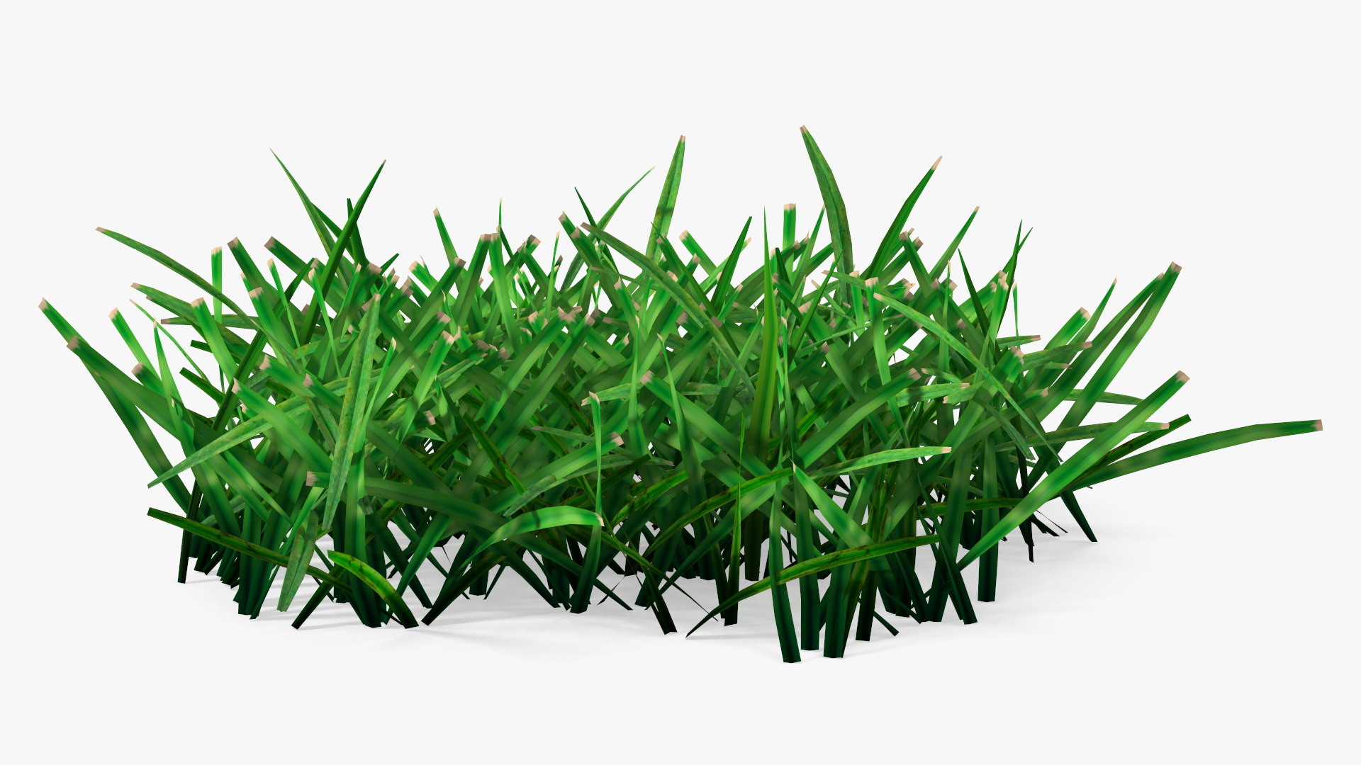 3D Realistic Lawn Grass Patch