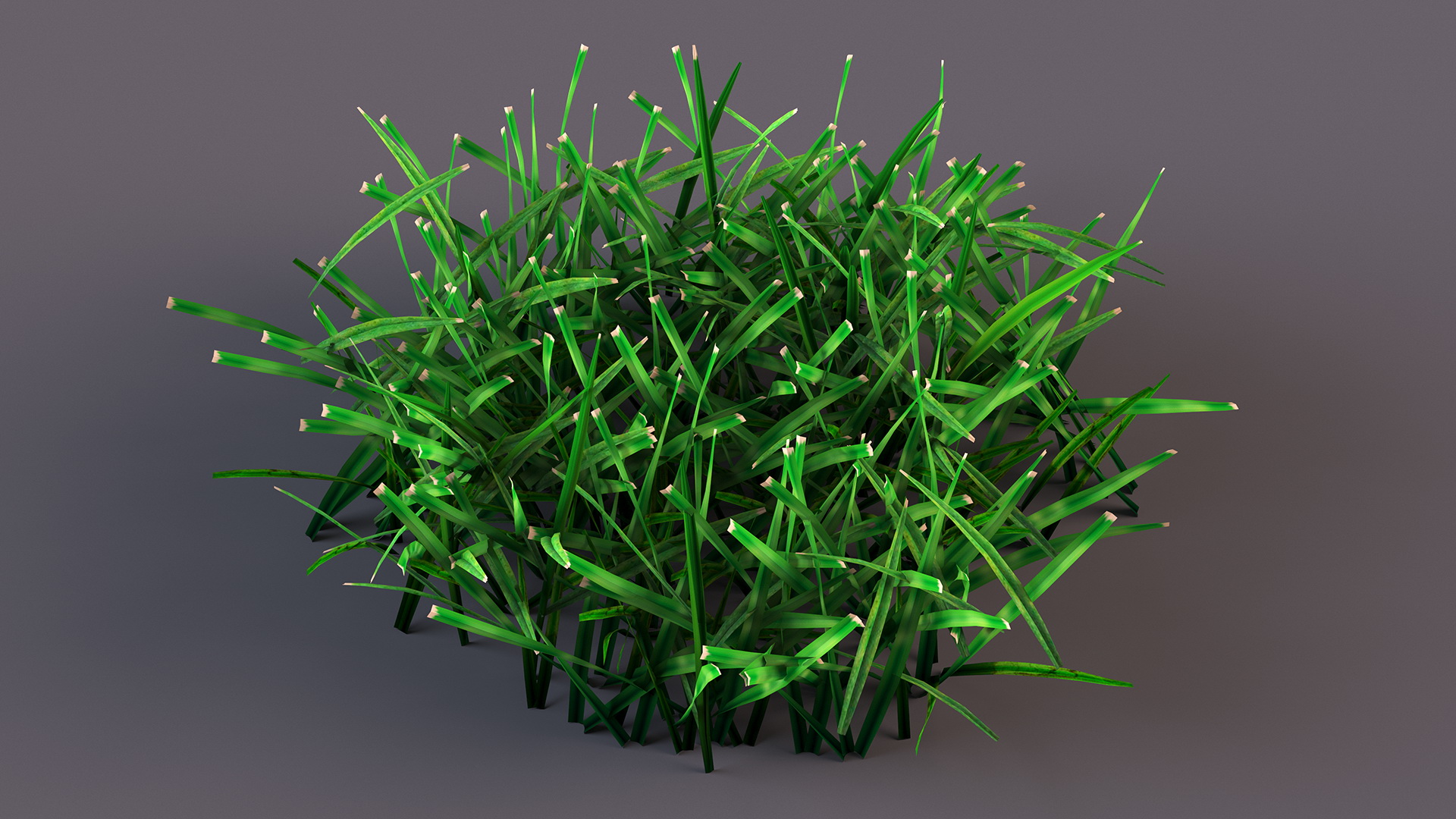 3D Realistic Lawn Grass Patch