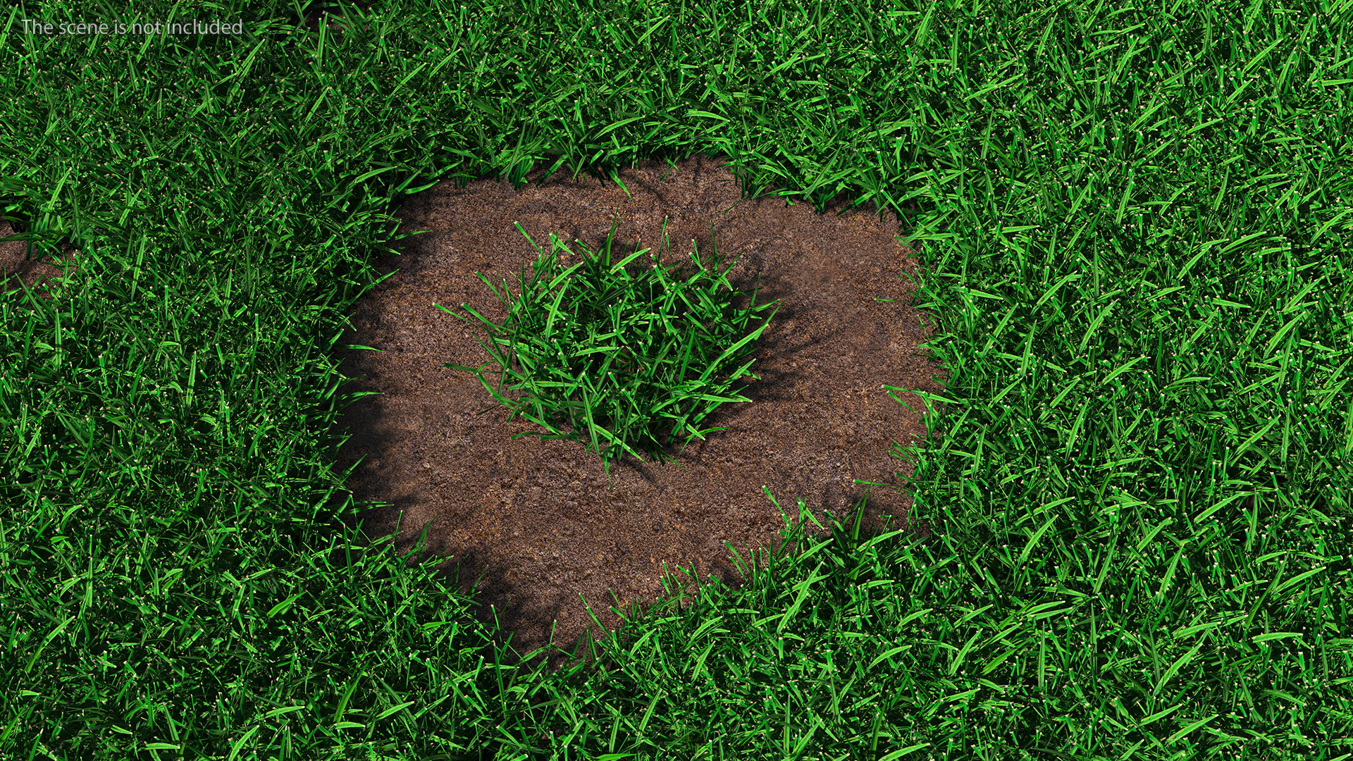 3D Realistic Lawn Grass Patch