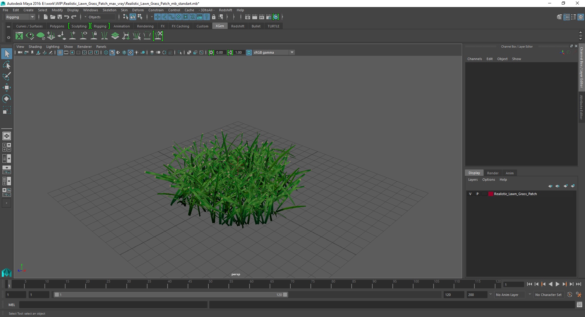 3D Realistic Lawn Grass Patch