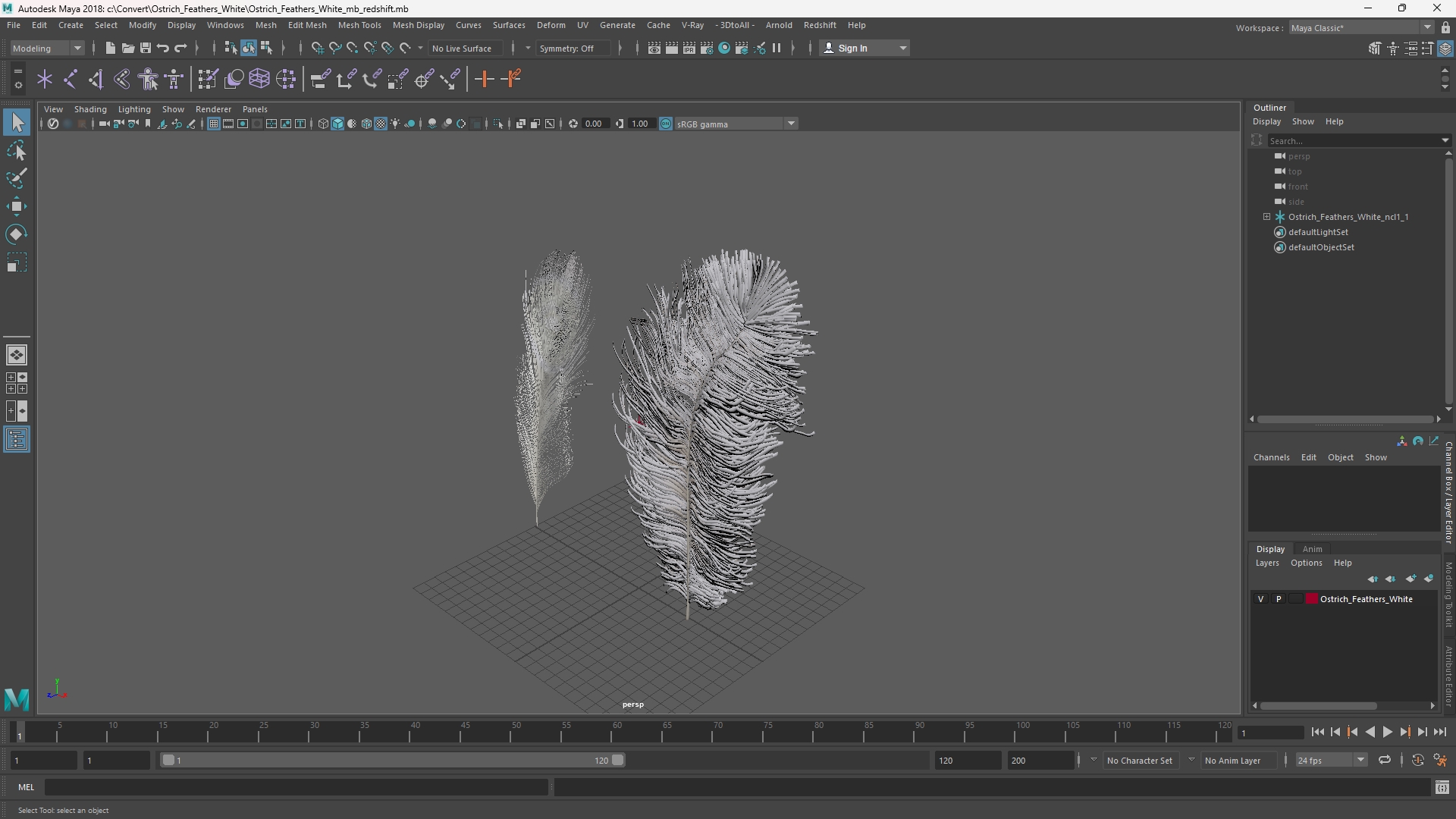 Ostrich Feathers White - view 11