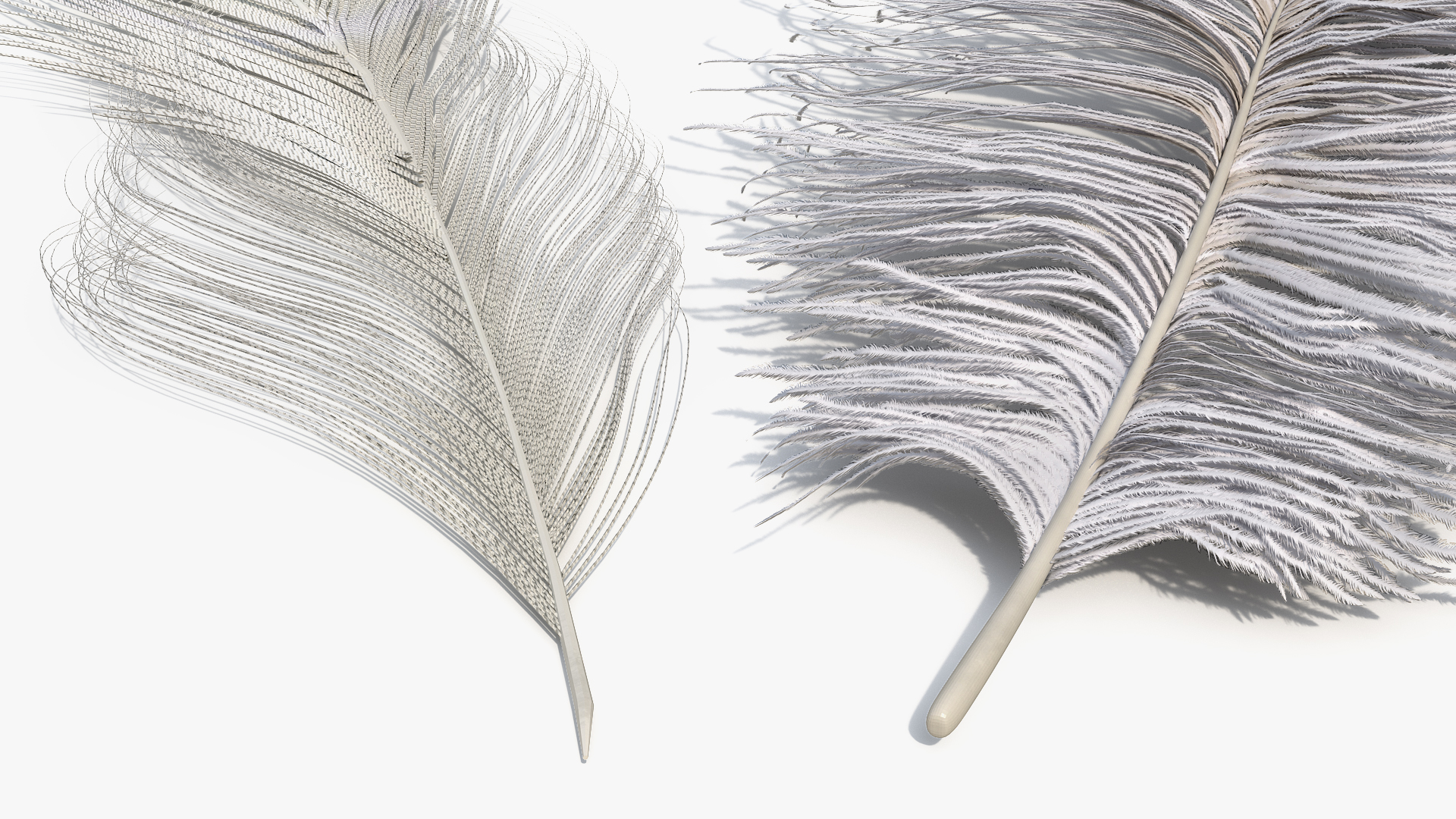 Ostrich Feathers White - view 4