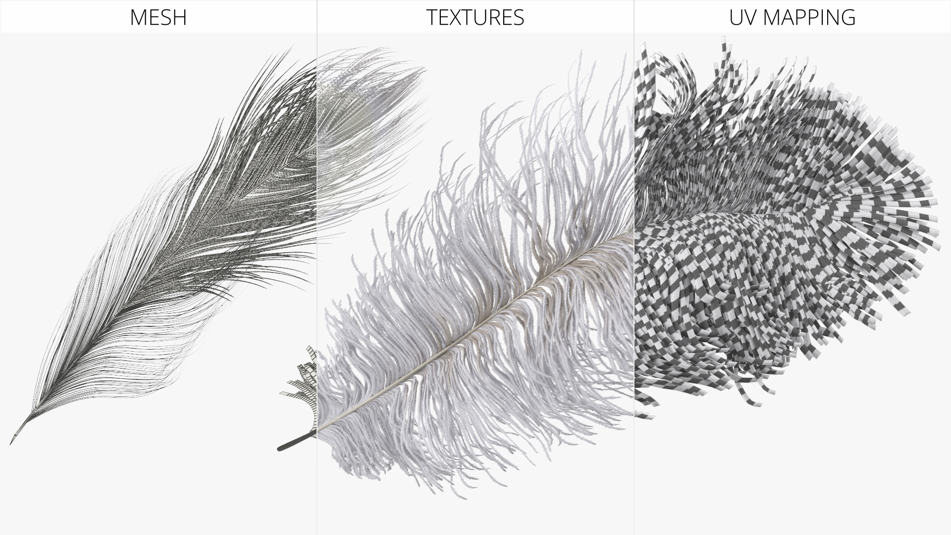 Ostrich Feathers White - view 5