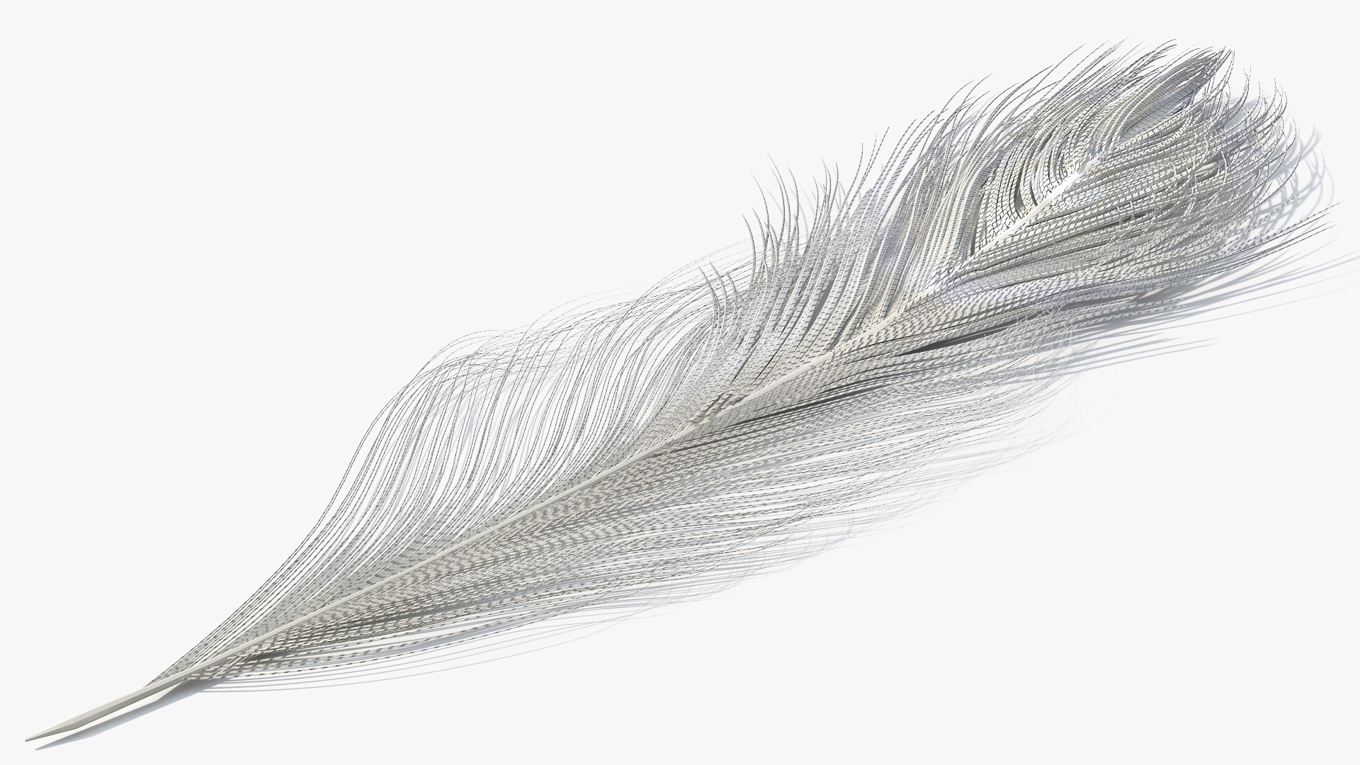 Ostrich Feathers White - view 3