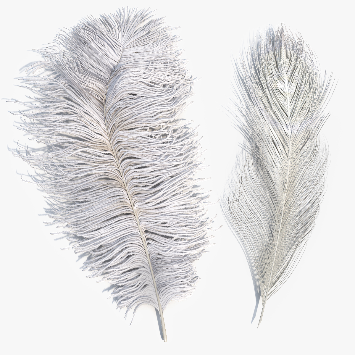 Ostrich Feathers White - view 9