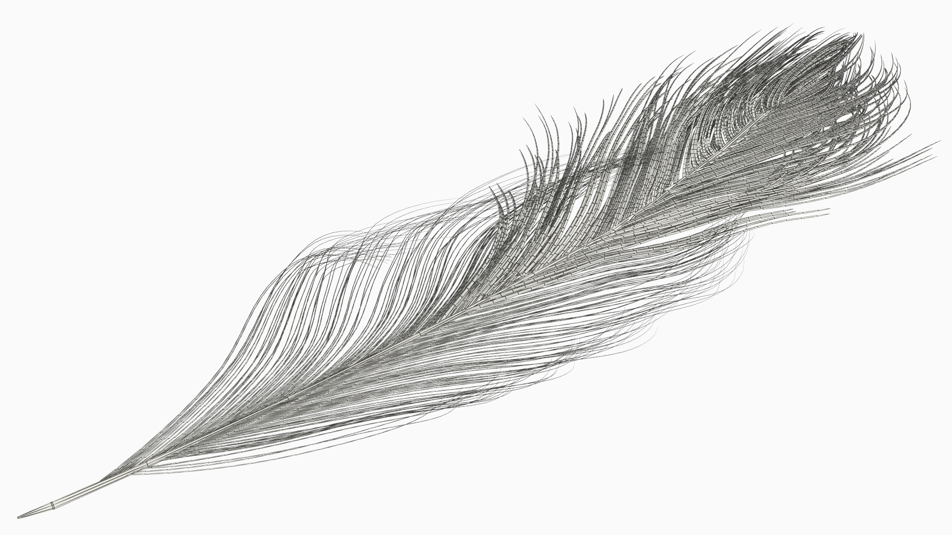Ostrich Feathers White - view 8