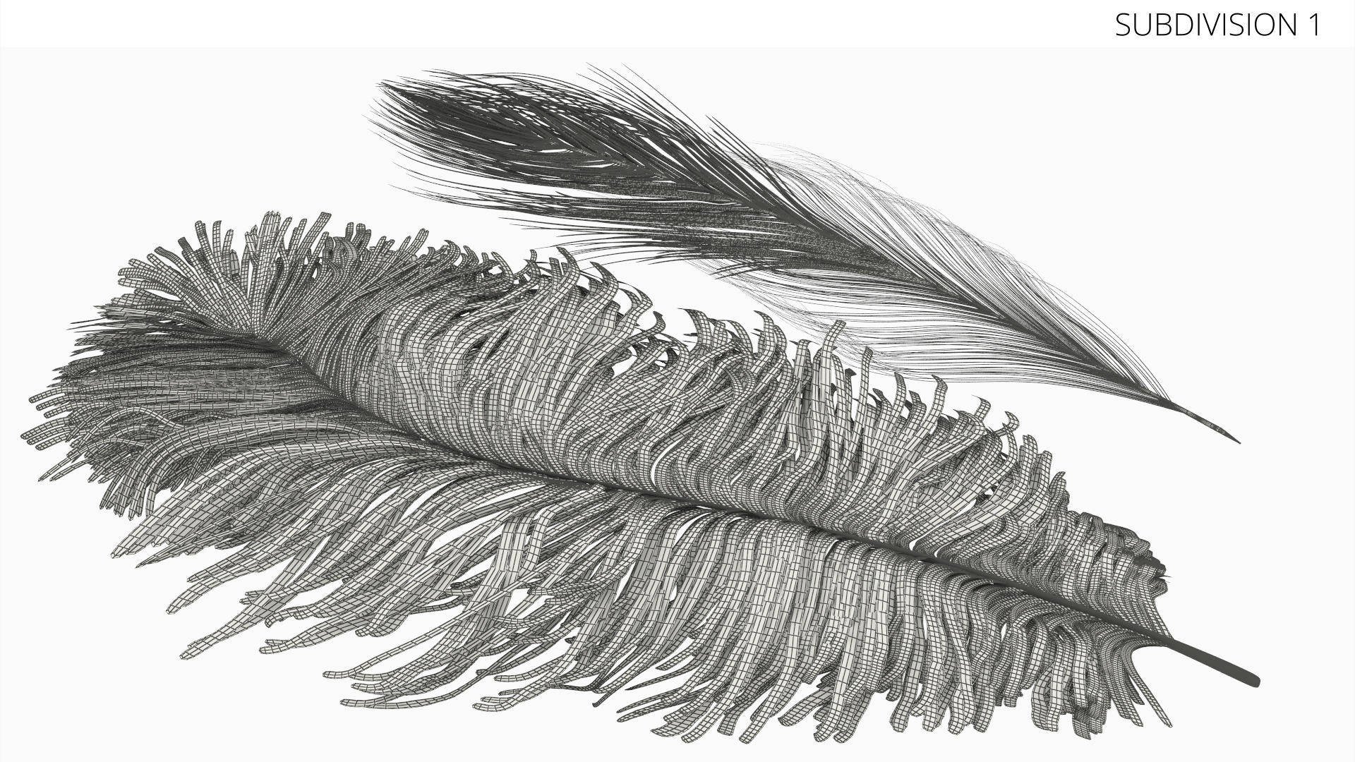 Ostrich Feathers White - view 7