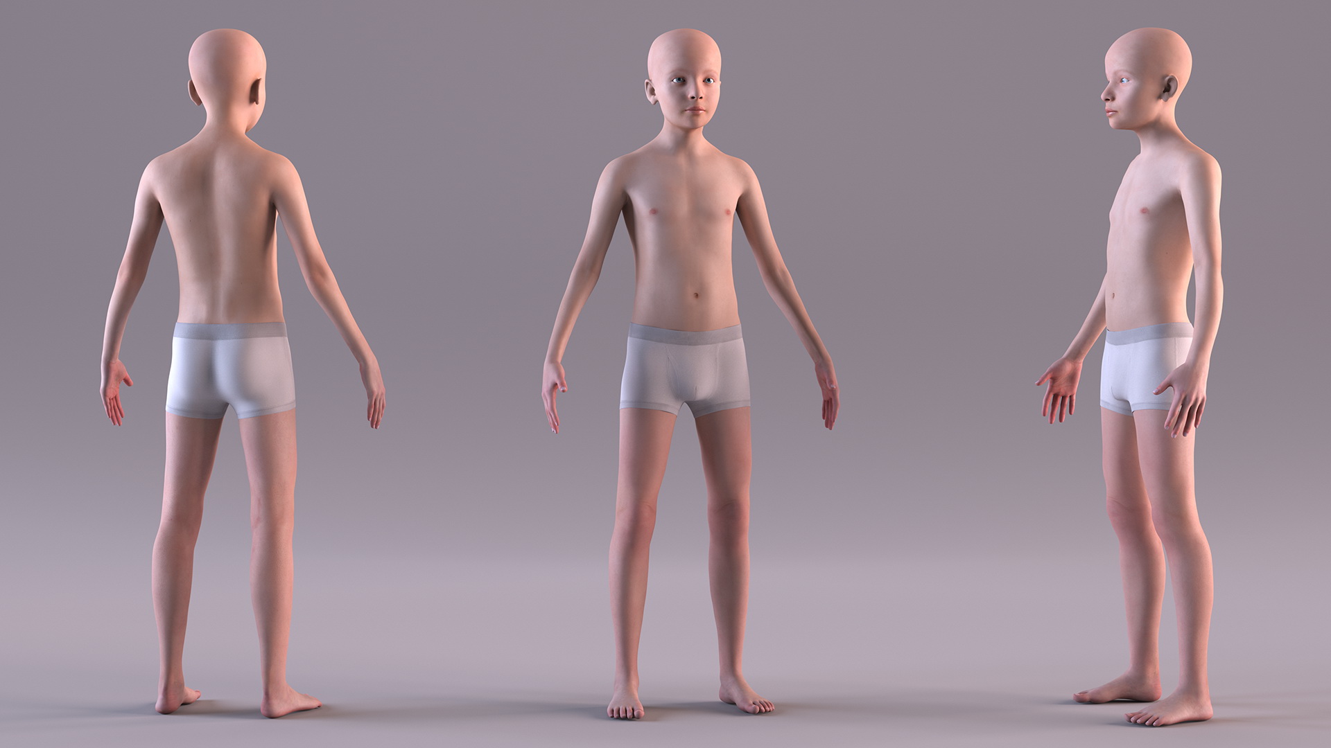 3D Boy Full Body Anatomy
