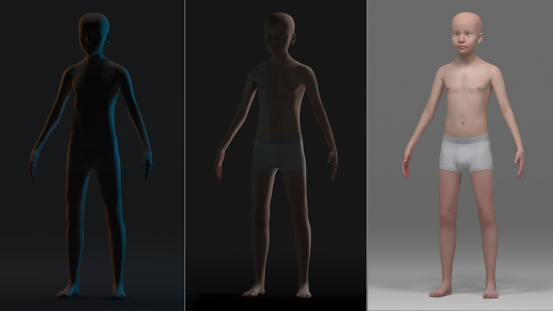 3D Boy Full Body Anatomy