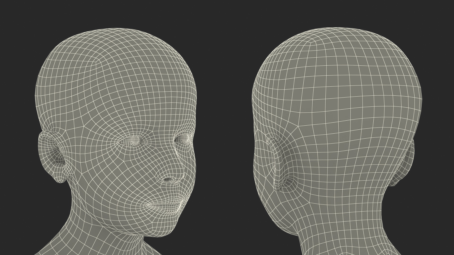3D Boy Full Body Anatomy