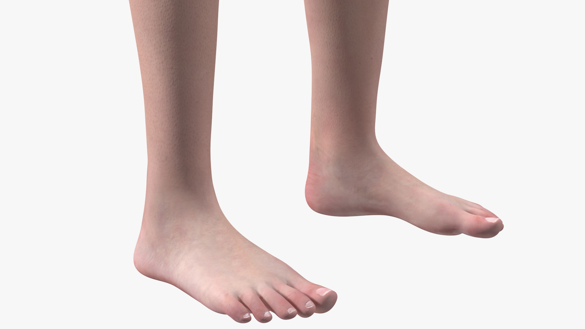 3D Boy Full Body Anatomy