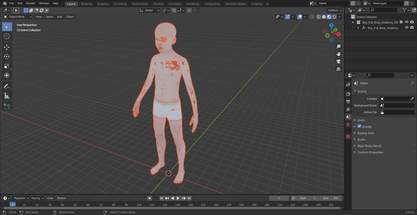 3D Boy Full Body Anatomy