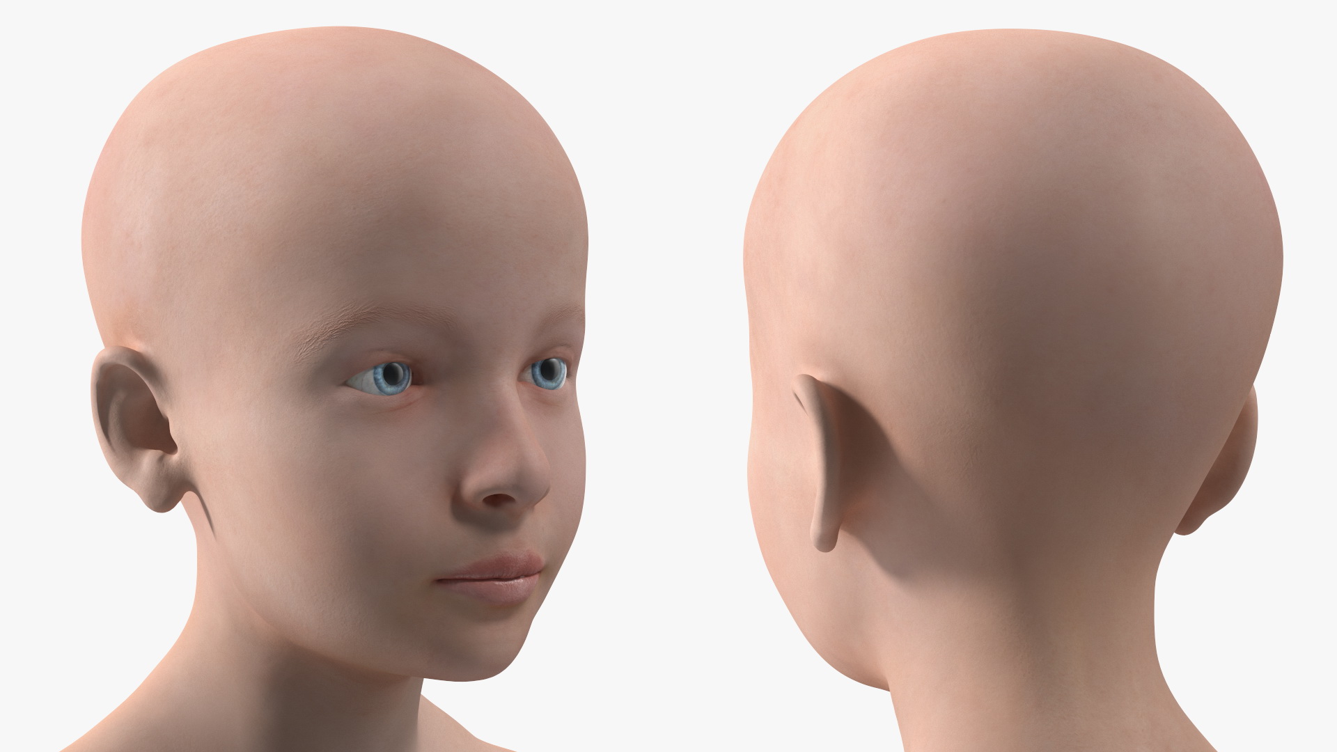 3D Boy Full Body Anatomy