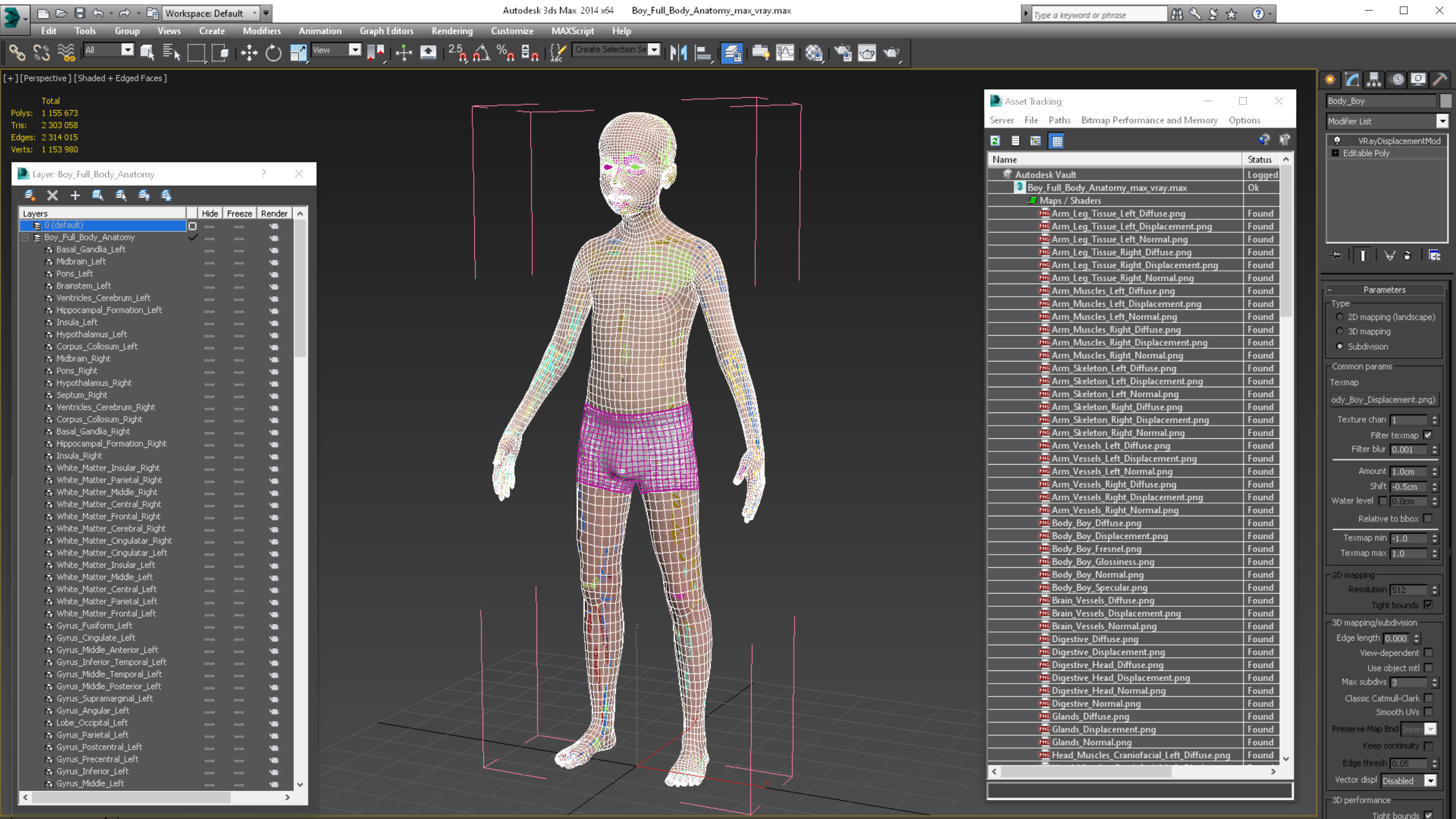3D Boy Full Body Anatomy