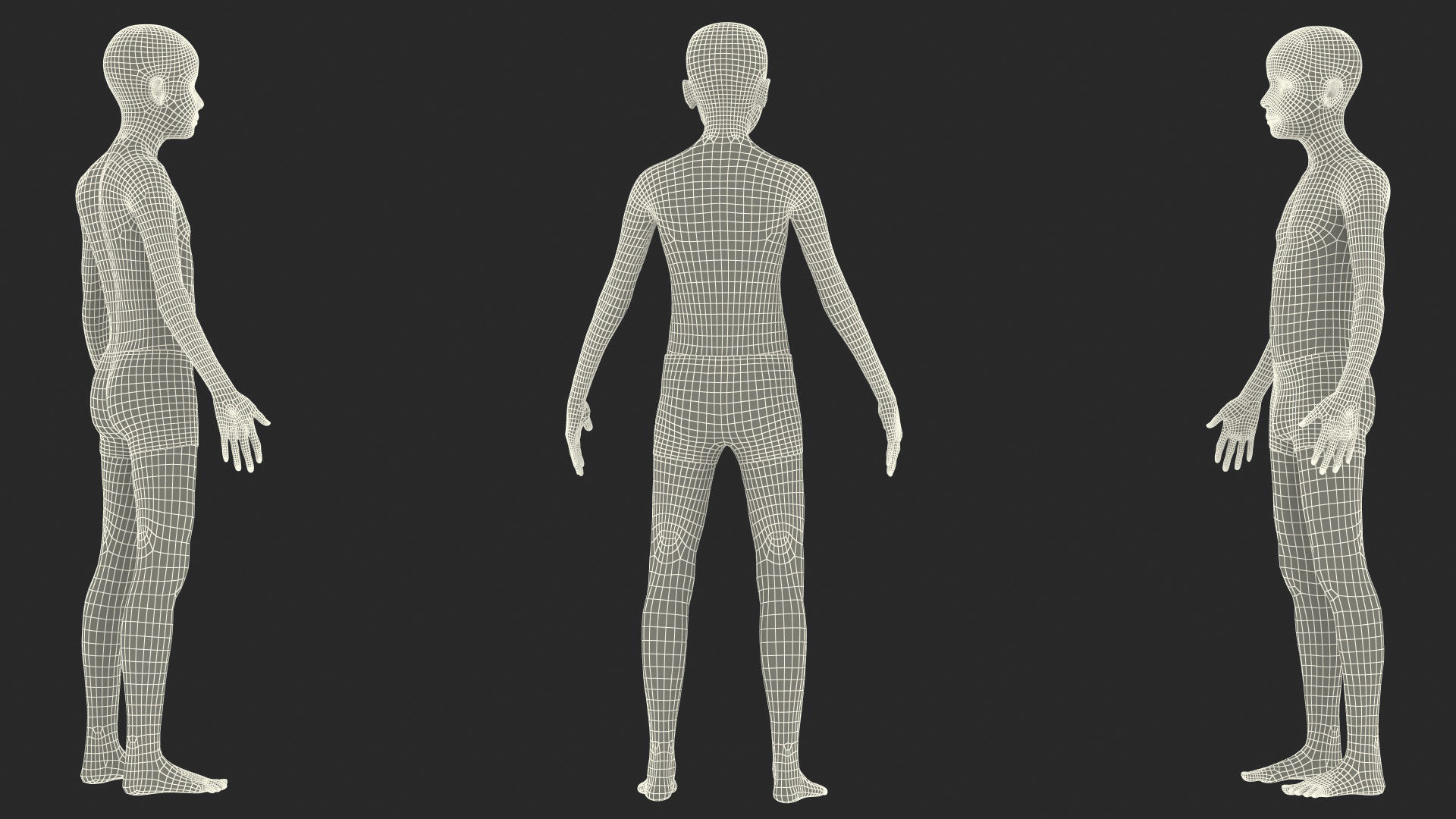 3D Boy Full Body Anatomy